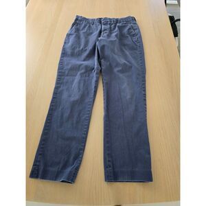 Express Innovator Dress Pants in Blue 29x30